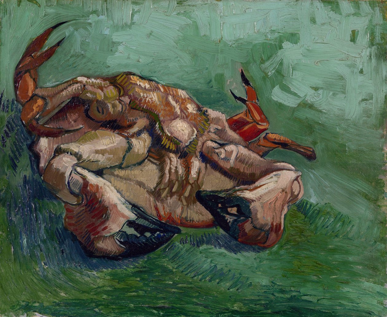 Krab na plecach par Gogh, Vincent, van (1853-1890). Olej na płótnie, format : 38x46,8 autorstwa Vincent van Gogh