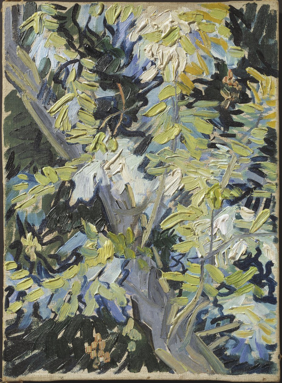 Acacia en fleur - Kwitnienie akacji, Gogh, Vincent, van (1853-1890). Olej na płótnie. Wymiar : 33x24 cm. Muzeum Narodowe w Sztokholmie autorstwa Vincent van Gogh