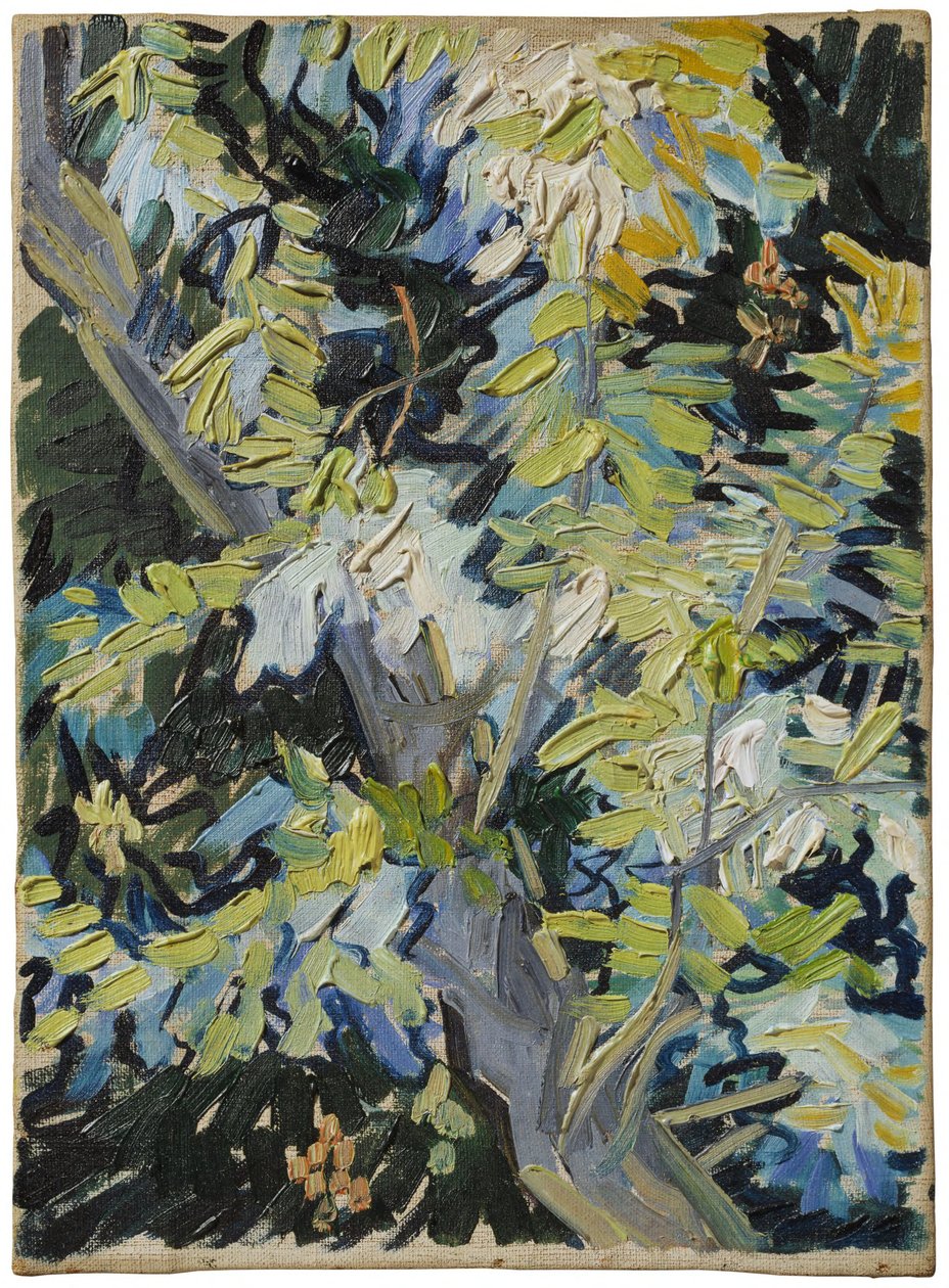 Kwitnąca akacja autorstwa Vincent van Gogh