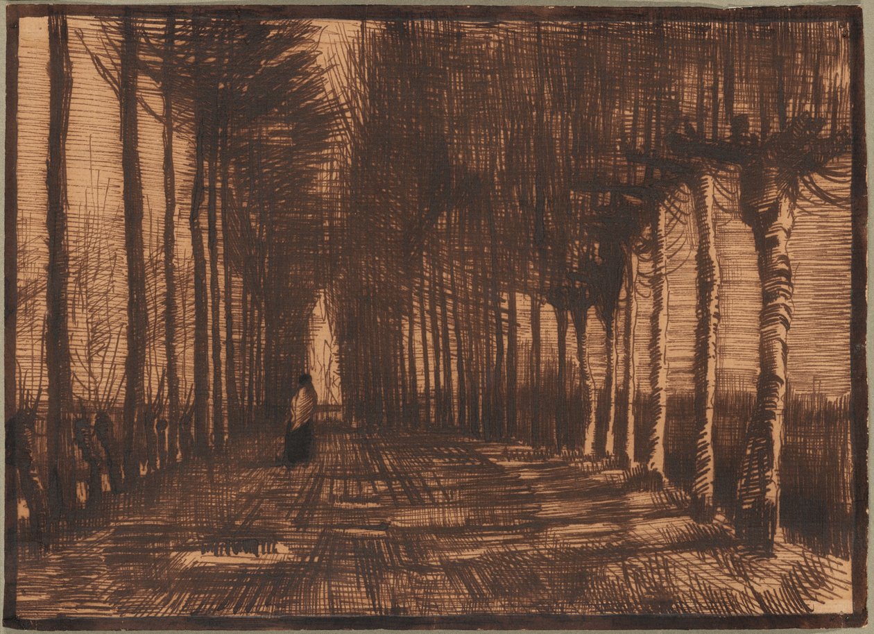 Aleja brzóz i topoli Pollard autorstwa Vincent van Gogh