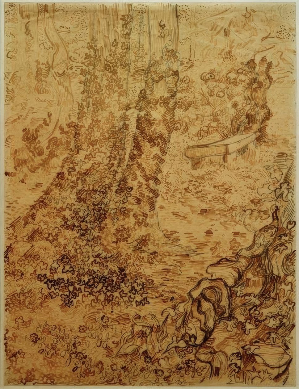 Drzewa z bluszczem w ogrodzie sanatorium autorstwa Vincent van Gogh