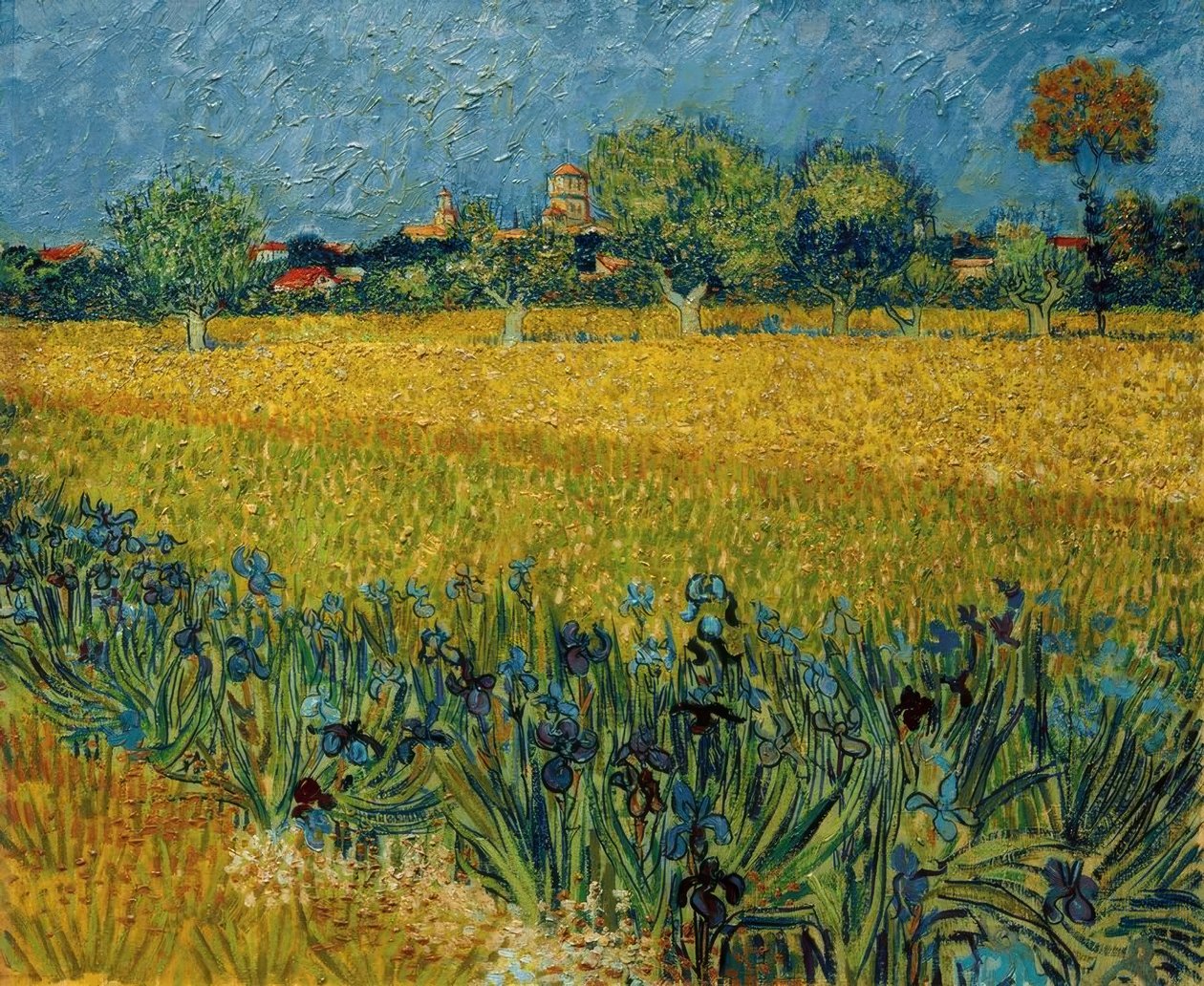 Widok Arles z kwiatami irysa na pierwszym planie autorstwa Vincent van Gogh