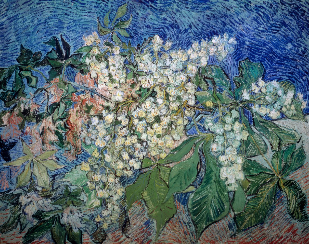 Kwitnące gałęzie kasztanowca autorstwa Vincent van Gogh