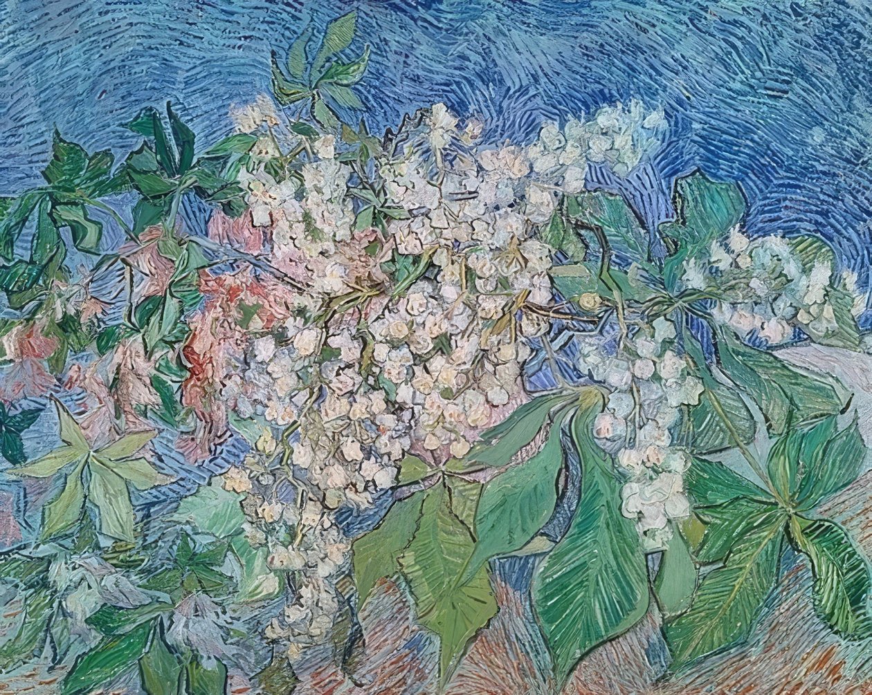 Kwitnące gałęzie kasztanowca. 1890 autorstwa Vincent van Gogh
