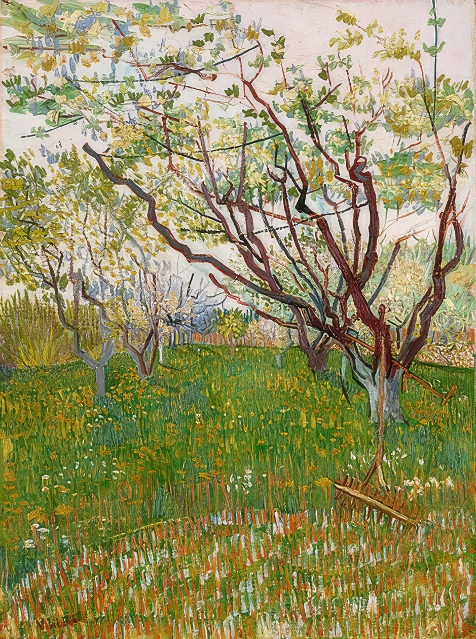 Kwitnący sad. 1888 autorstwa Vincent van Gogh
