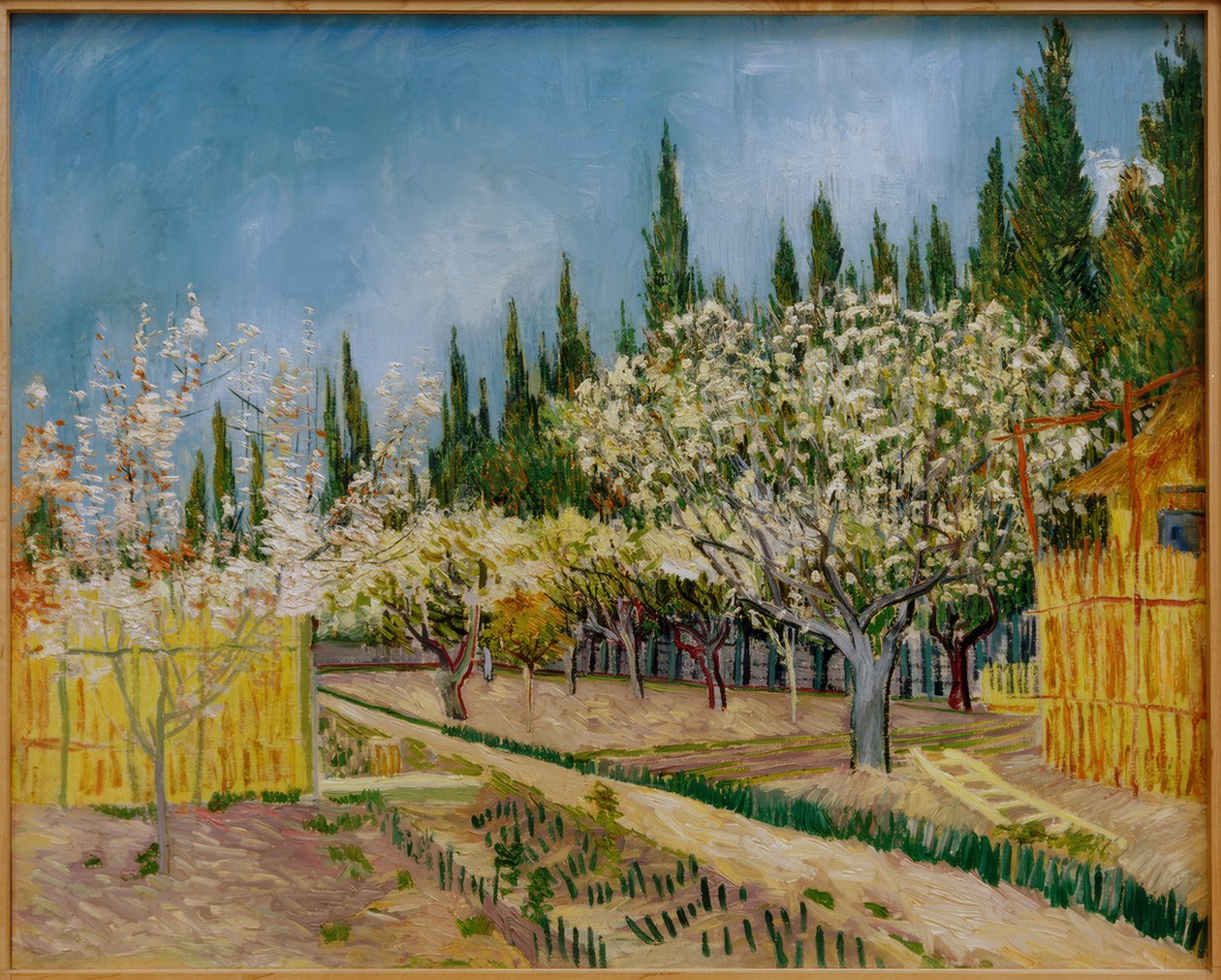 Kwitnący sad otoczony cyprysami autorstwa Vincent van Gogh