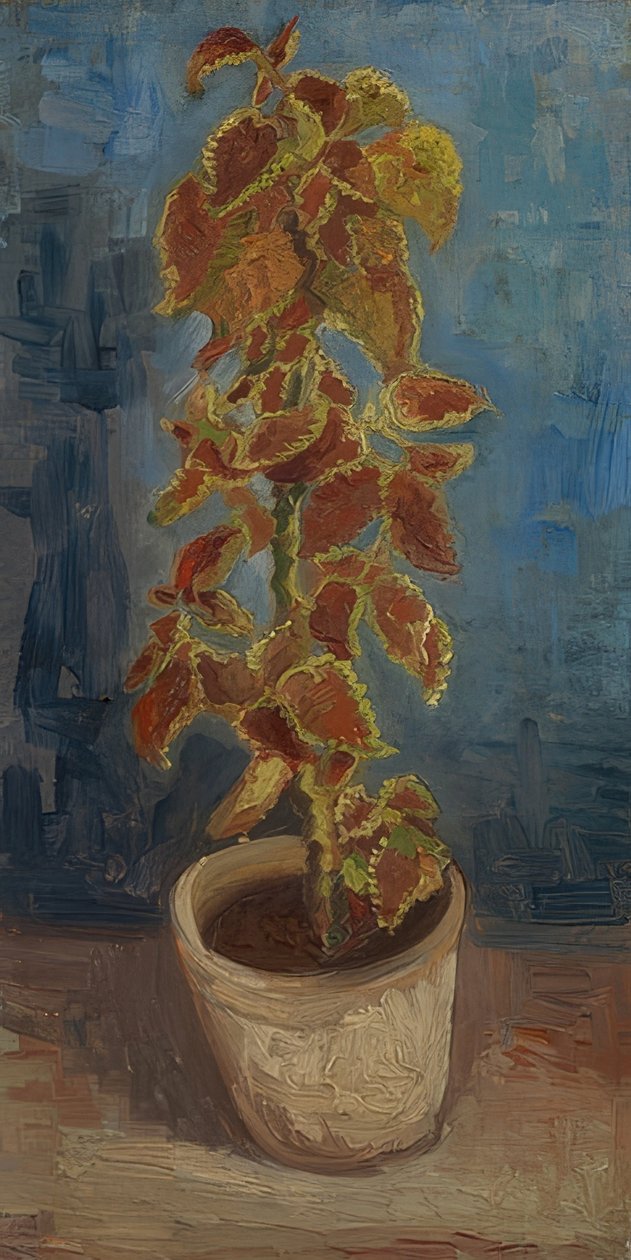 Doniczka z kolorową pokrzywą. 1886 autorstwa Vincent van Gogh