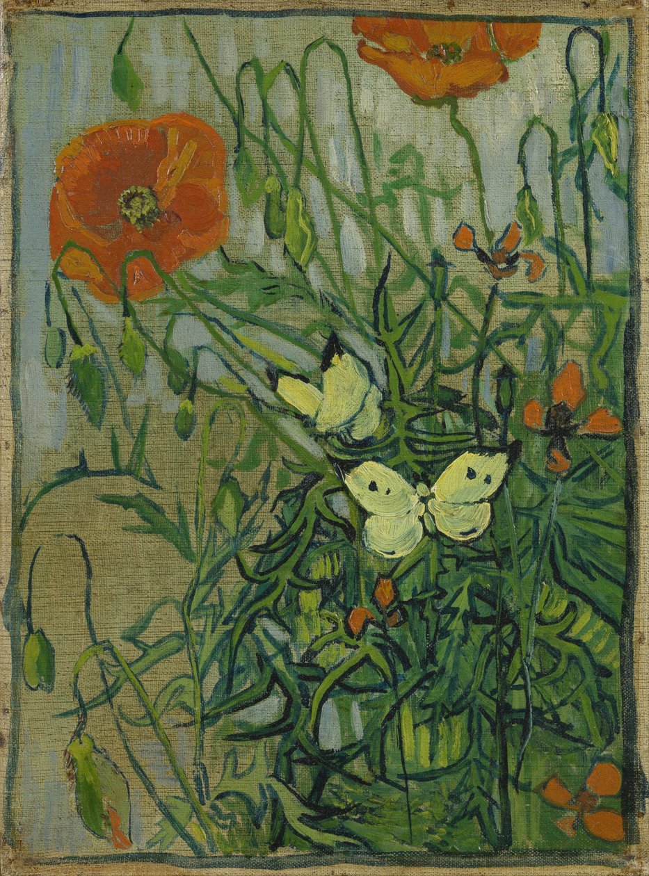 Motyle i maki autorstwa Vincent van Gogh
