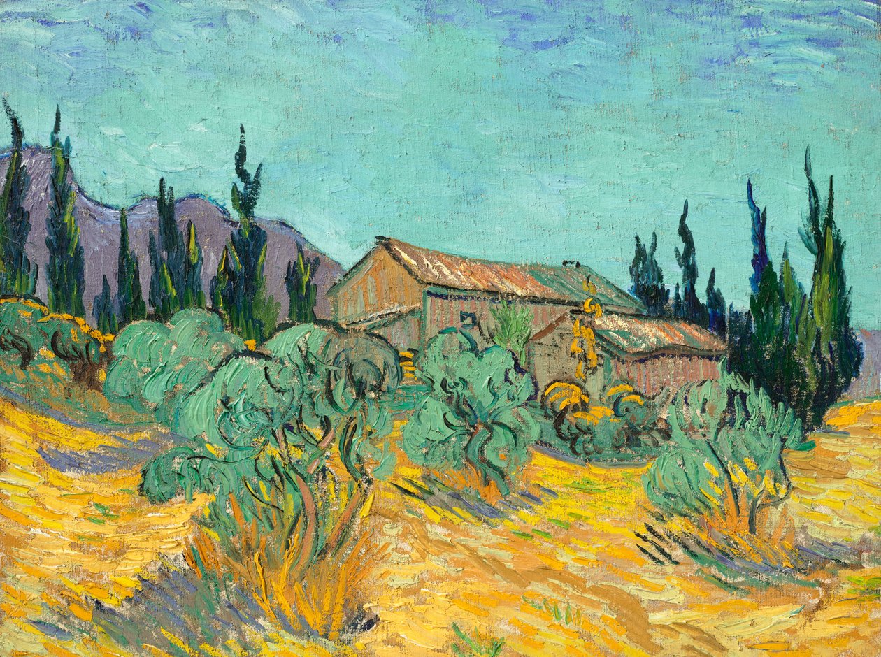 Drewniane chaty wśród drzew oliwnych i cyprysów autorstwa Vincent van Gogh