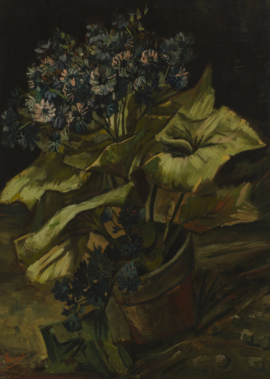 Cinerarie autorstwa Vincent van Gogh
