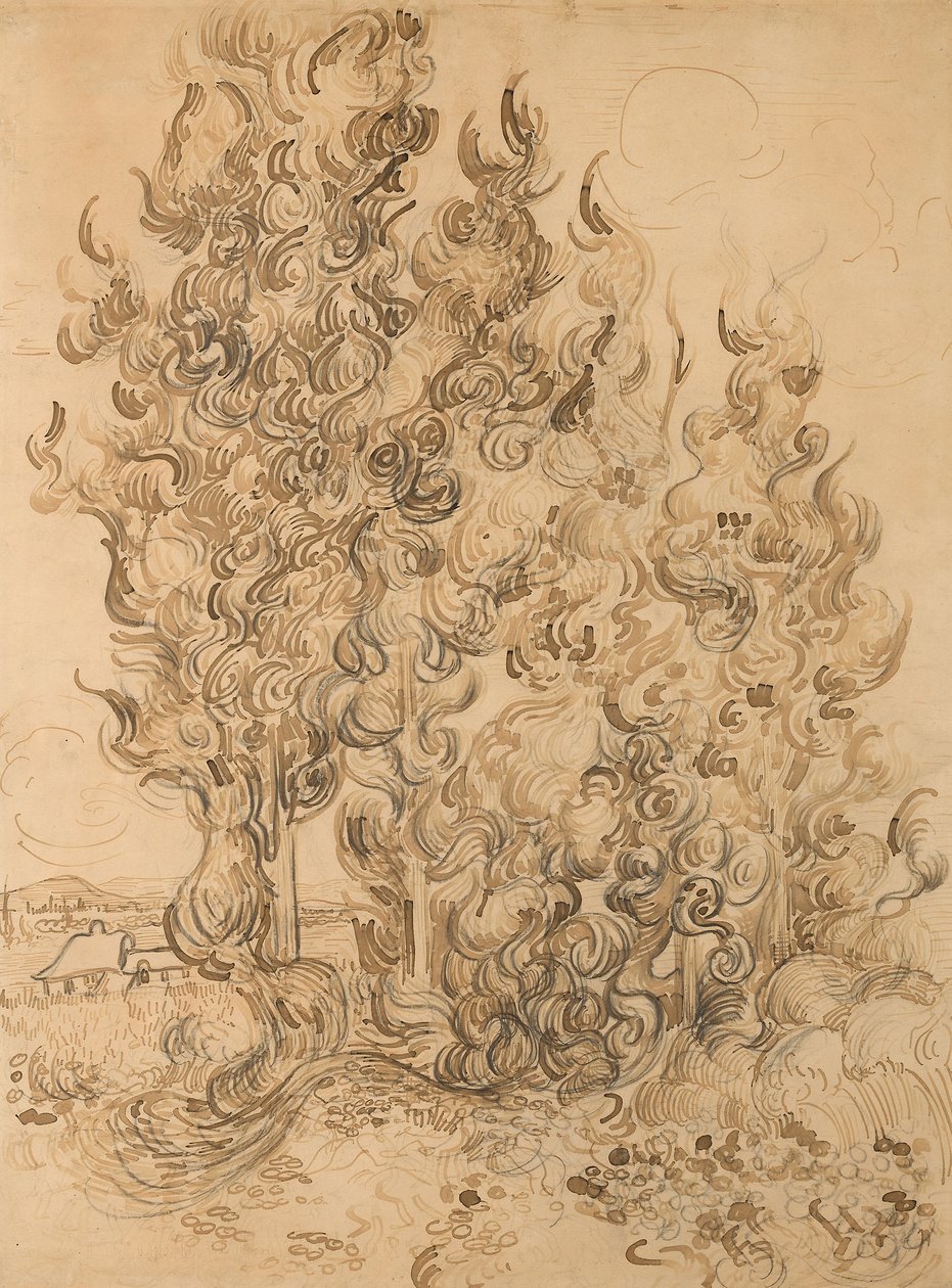 Cyprysy autorstwa Vincent van Gogh