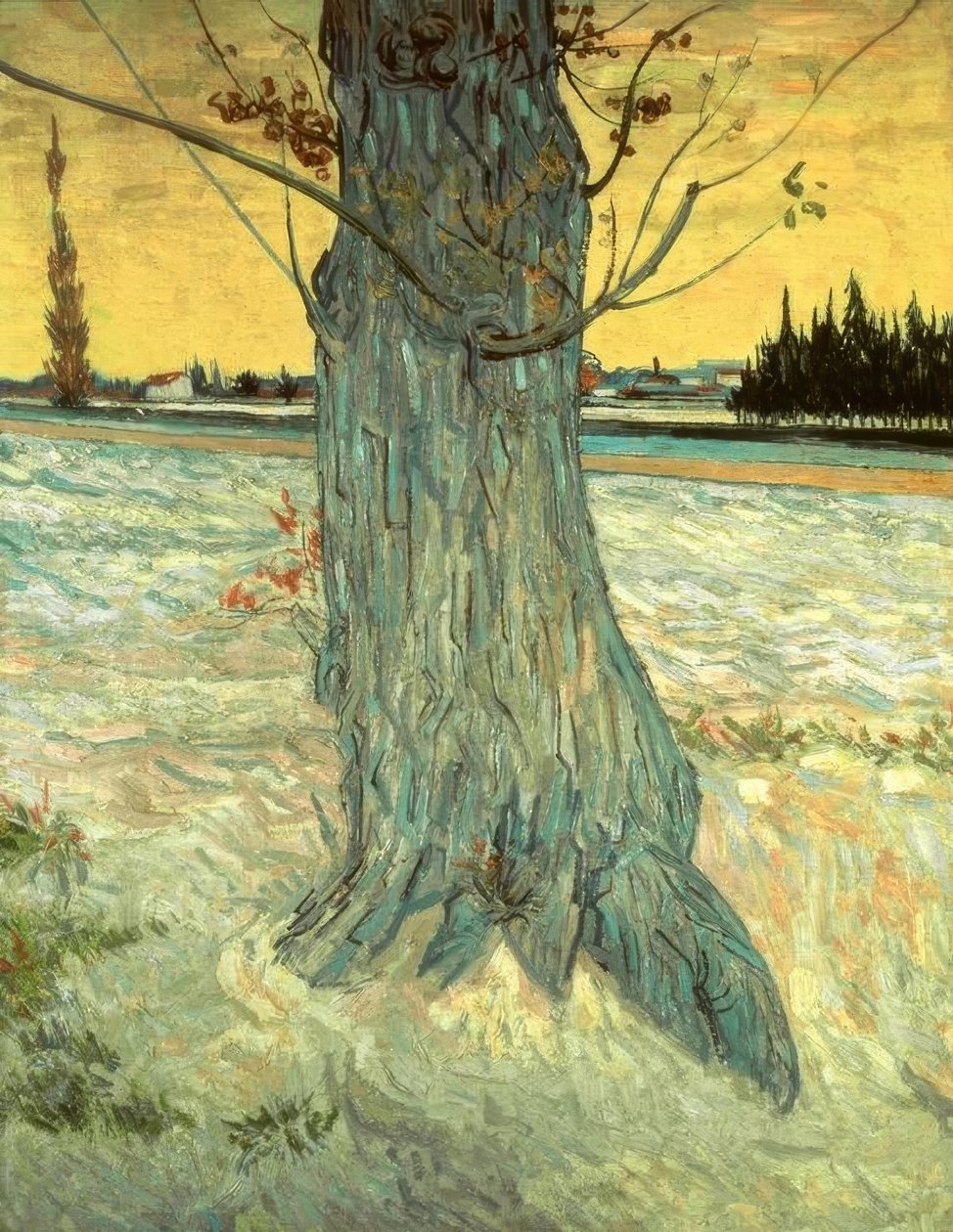 Drzewo autorstwa Vincent van Gogh