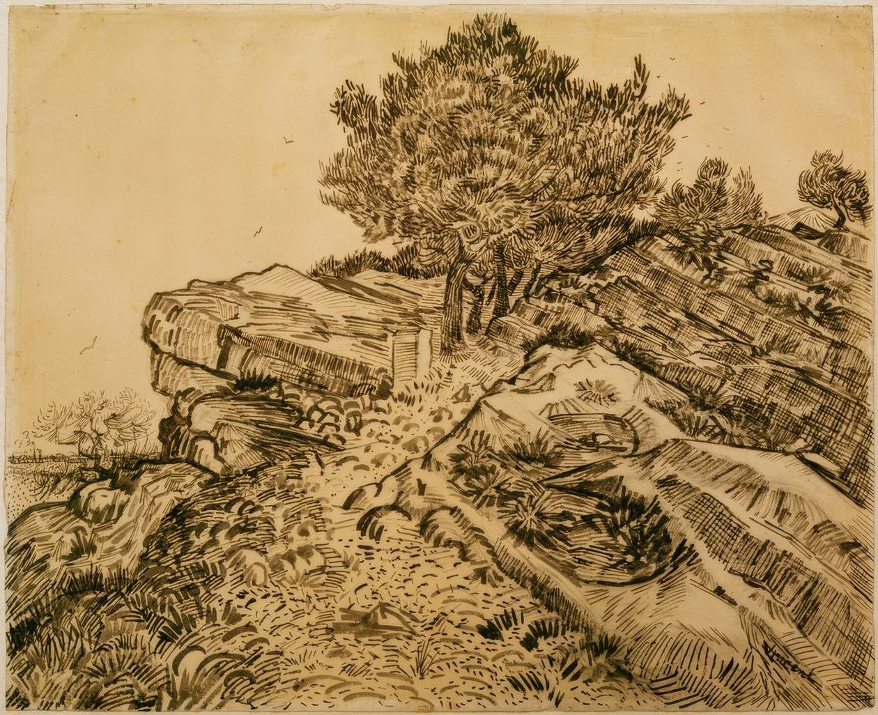 Skała Montmajour z sosnami autorstwa Vincent van Gogh