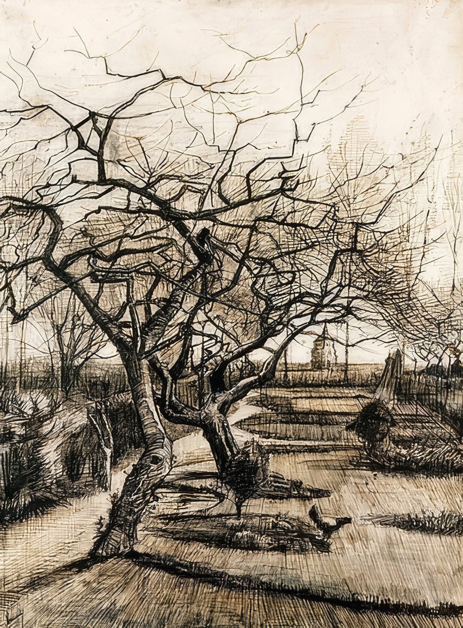 Ogród przy plebanii w Nuenen. 1884 autorstwa Vincent van Gogh
