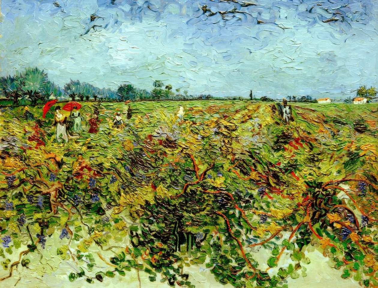 Zielona winnica autorstwa Vincent van Gogh