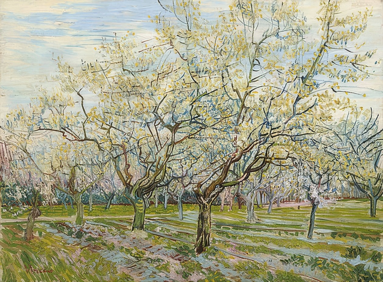 Biały Sad. 1888 autorstwa Vincent van Gogh