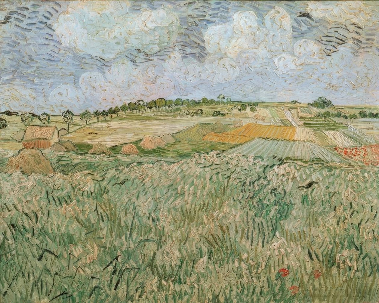 Równina w Auvers z chmurami deszczowymi autorstwa Vincent van Gogh