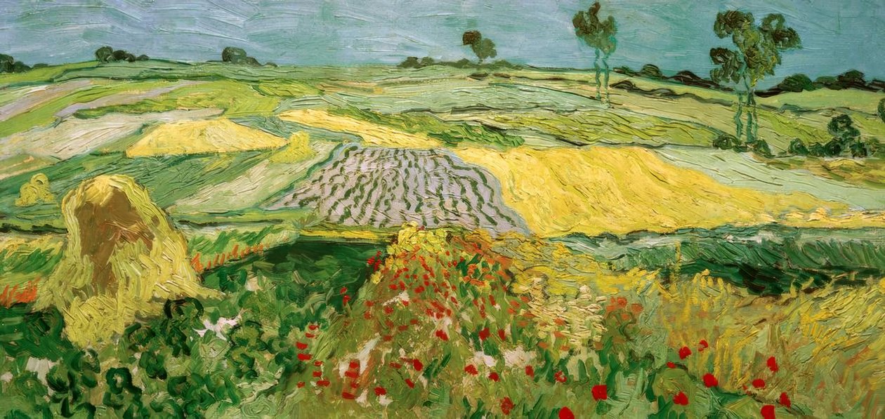 Równina Auvers autorstwa Vincent van Gogh