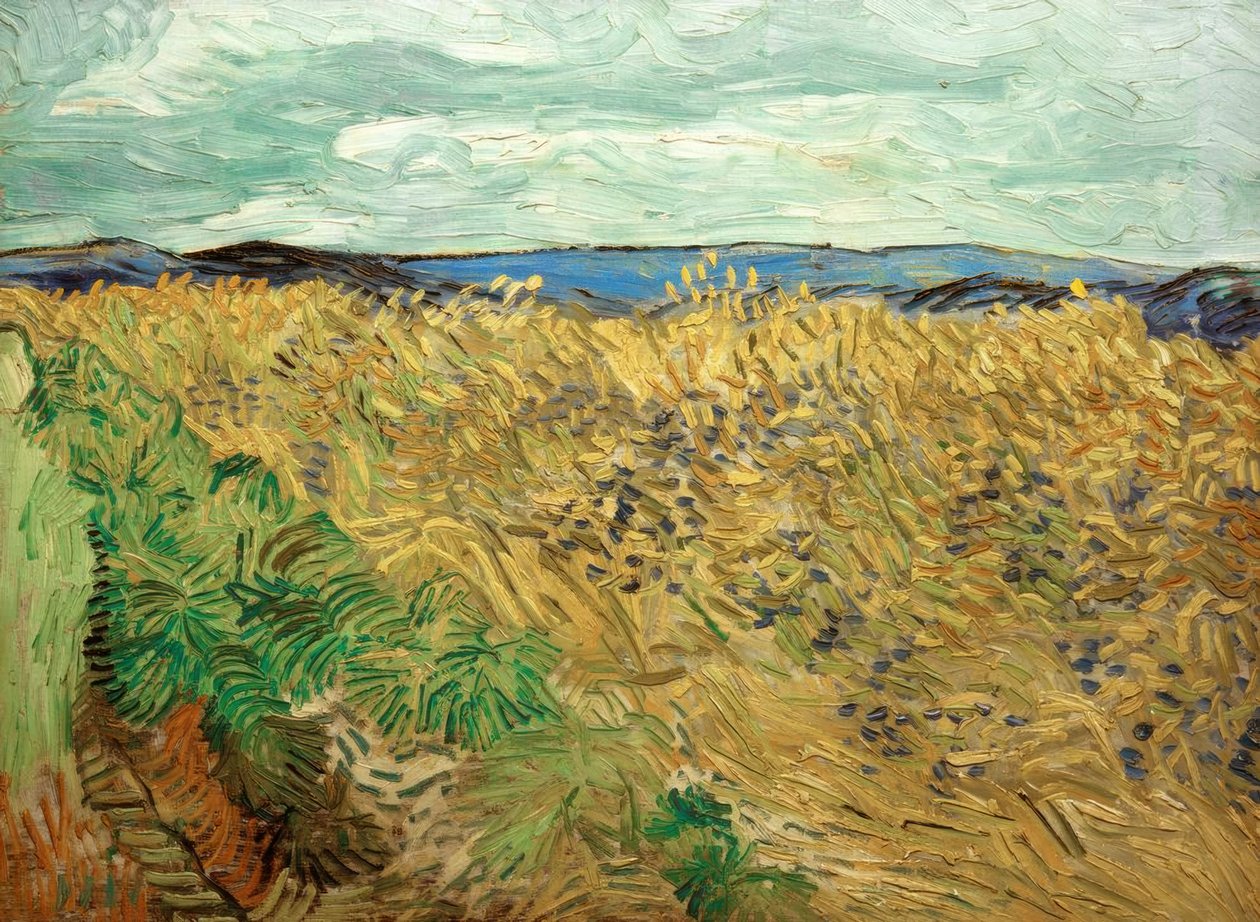 Pole z chabrami autorstwa Vincent van Gogh