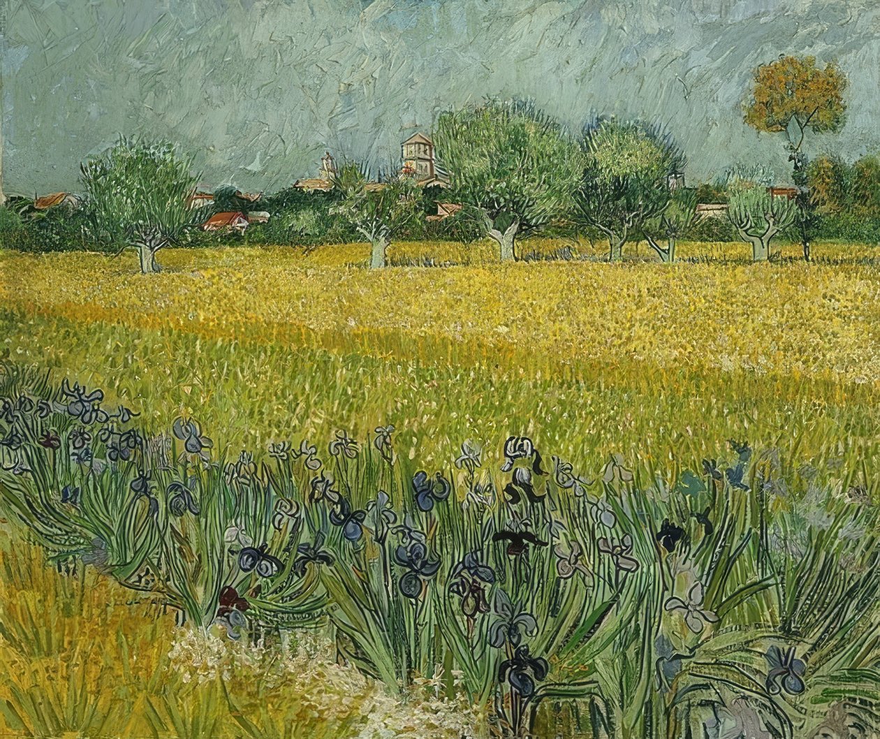 Pole z irysami w pobliżu Arles. maj 1888 autorstwa Vincent van Gogh