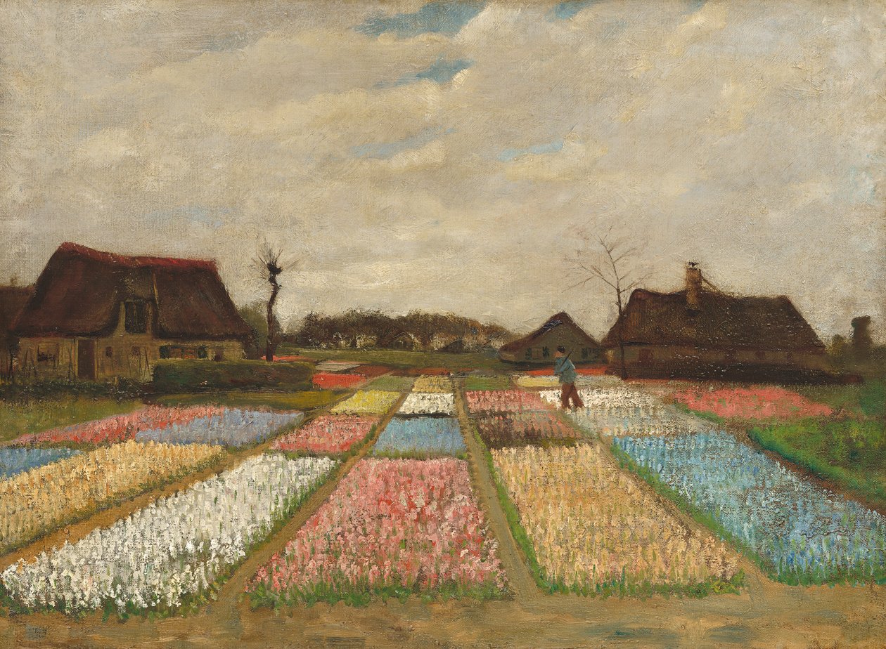 Rabaty kwiatowe w Holandii, ok. 1883 (olej na płótnie na drewnie) autorstwa Vincent van Gogh