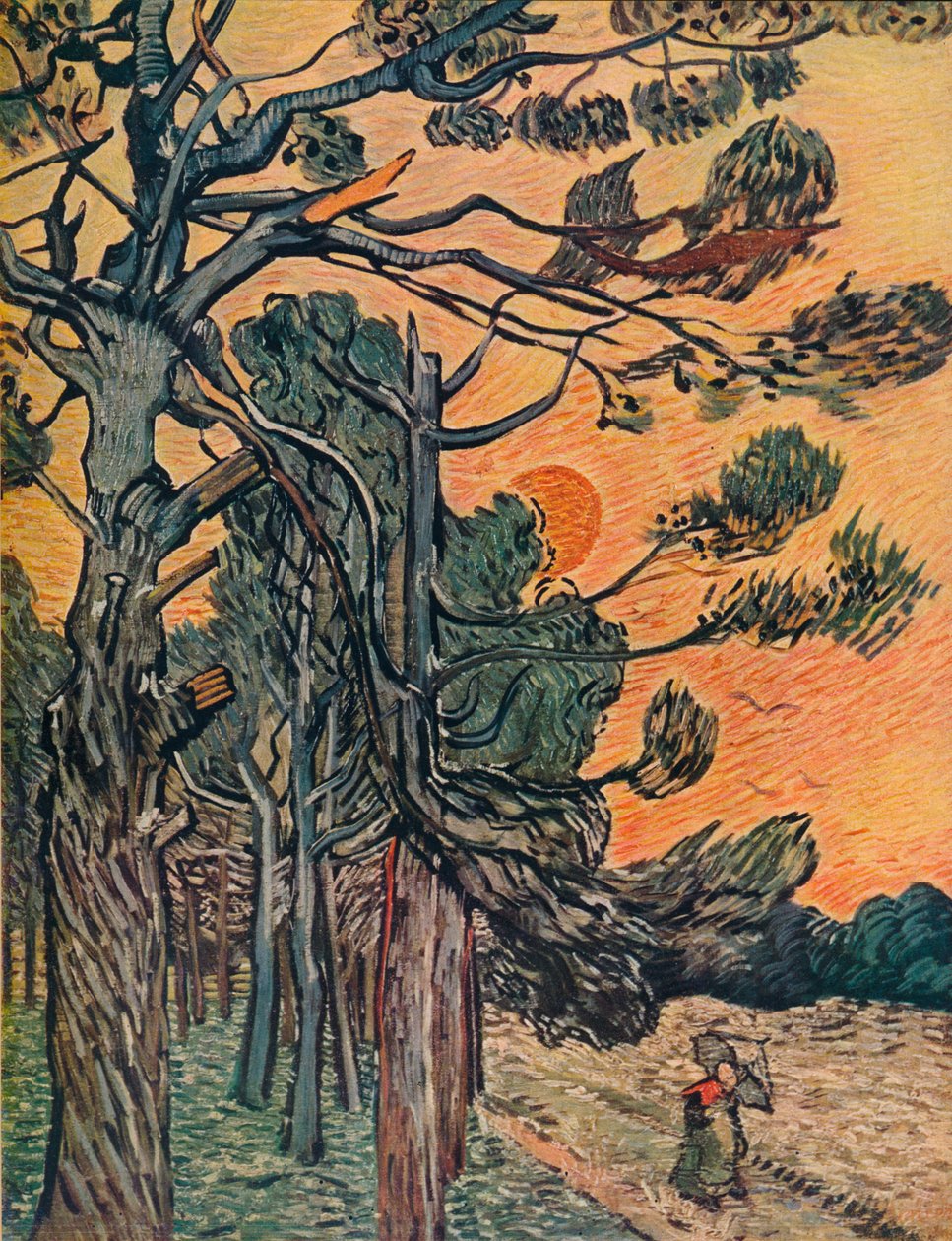 Las jodłowy pod koniec dnia, 1889 autorstwa Vincent van Gogh