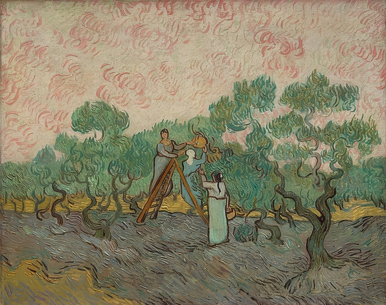 Kobiety zbierające oliwki. 1889 autorstwa Vincent van Gogh