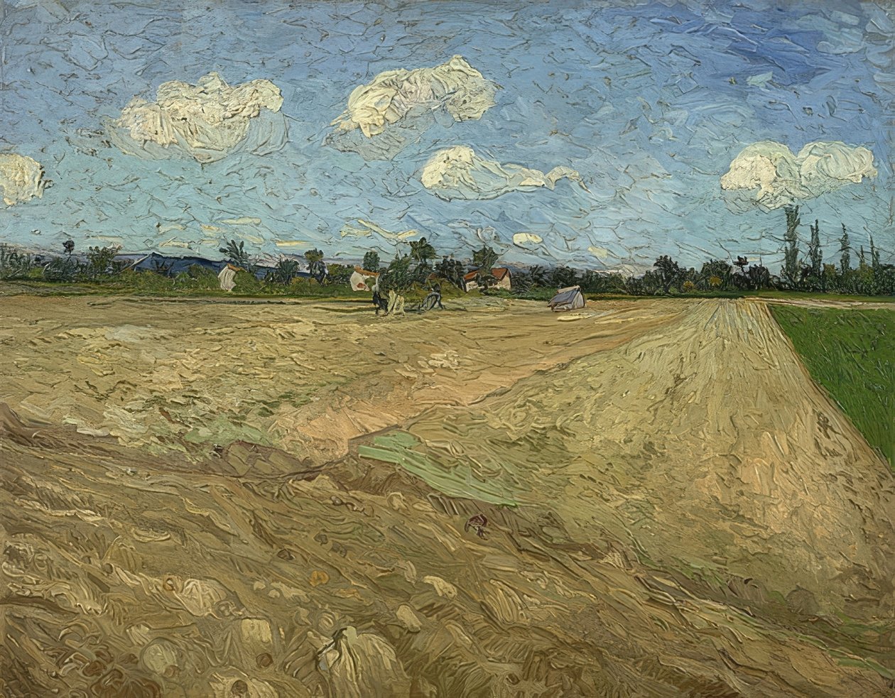 Zaorane pole (bruzdy). 1888 autorstwa Vincent van Gogh
