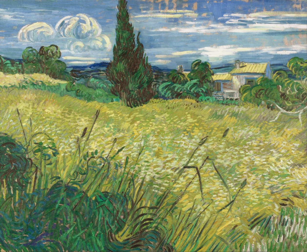 Zielone pole pszenicy z cyprysem autorstwa Vincent van Gogh