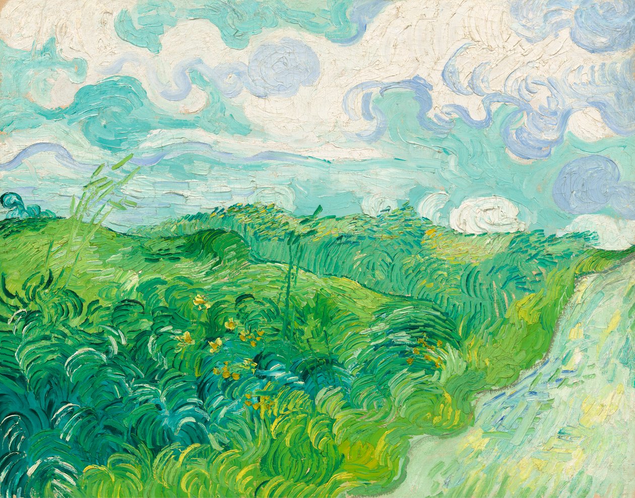 Zielone pola pszenicy, Auvers autorstwa Vincent van Gogh