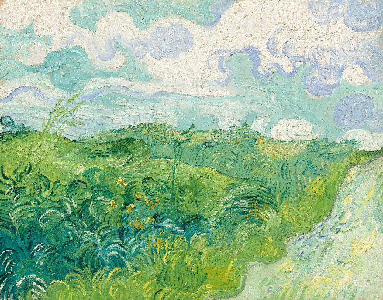 Zielone pola pszenicy, Auvers autorstwa Vincent van Gogh