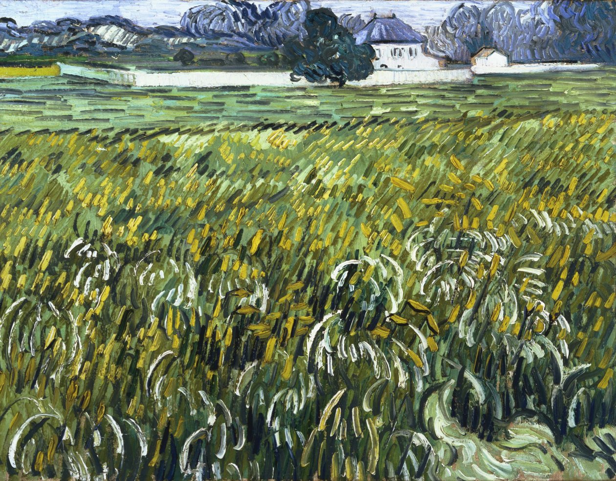 Dom w Auvers autorstwa Vincent van Gogh