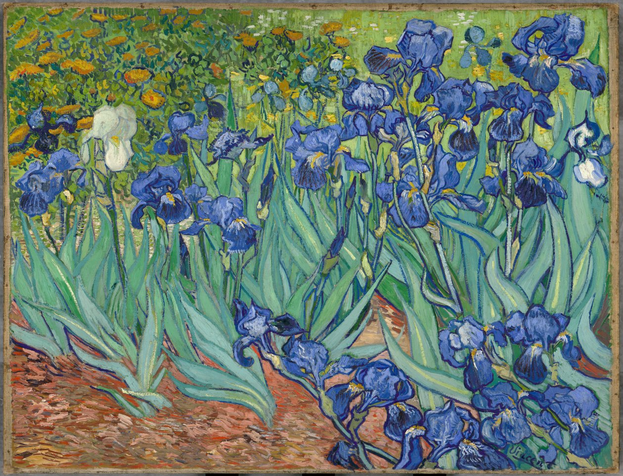 Irysy autorstwa Vincent van Gogh