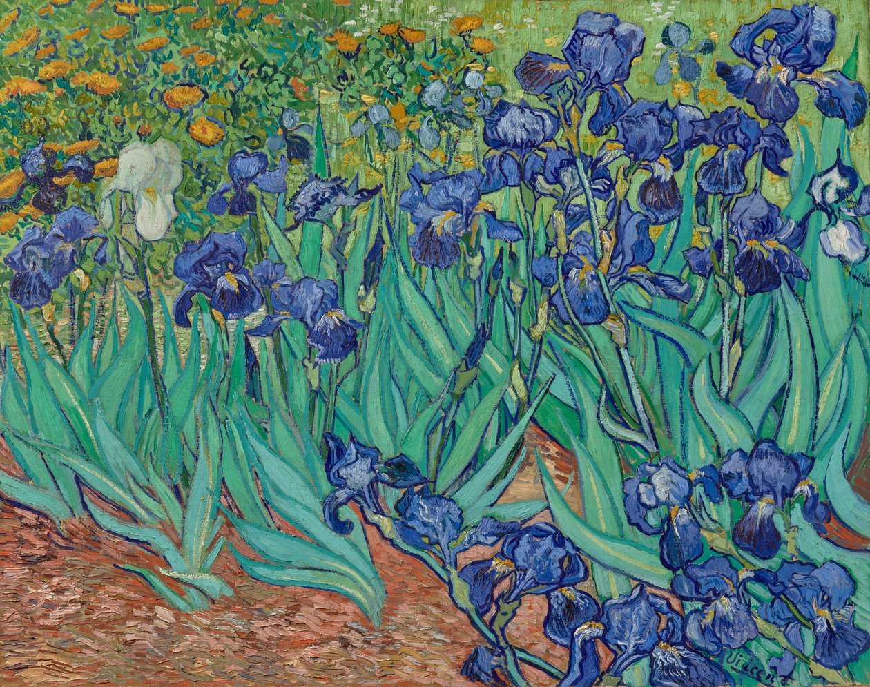 Irysy autorstwa Vincent van Gogh