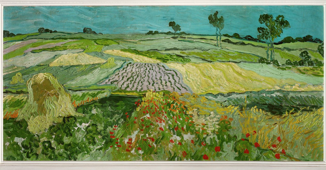 Równina Auvers autorstwa Vincent van Gogh