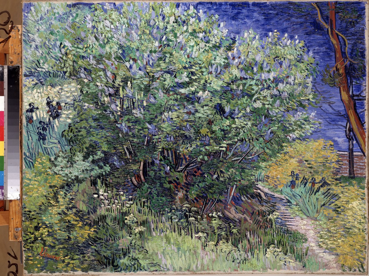„Krzak bzu” (Krzak bzu) Obraz Vincenta van Gogha (1853-1890) 1889 Wymiary 72x92 cm Ermitaż, Sankt Petersburg (Sankt-Petersburg) autorstwa Vincent van Gogh