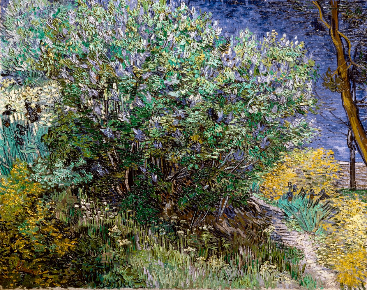 Krzew bzu. Vincent VAN GOGH (1853-1890) autorstwa Vincent van Gogh