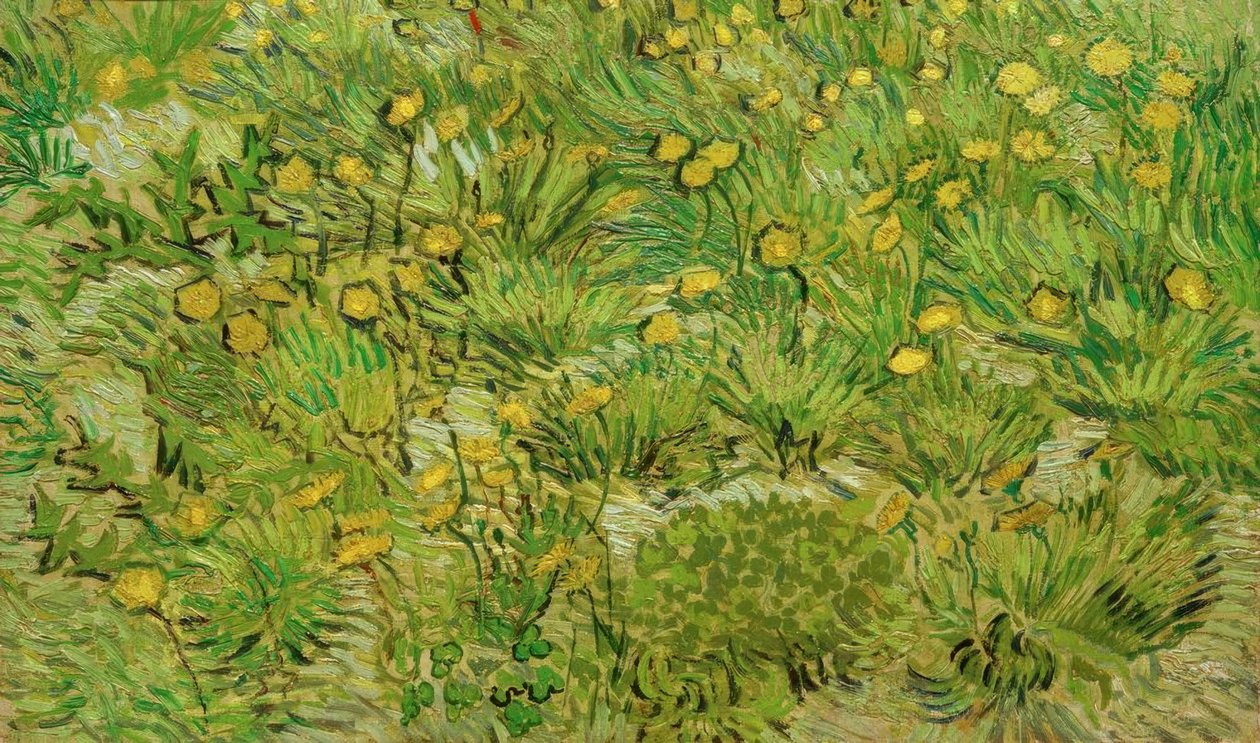 Mlecze autorstwa Vincent van Gogh