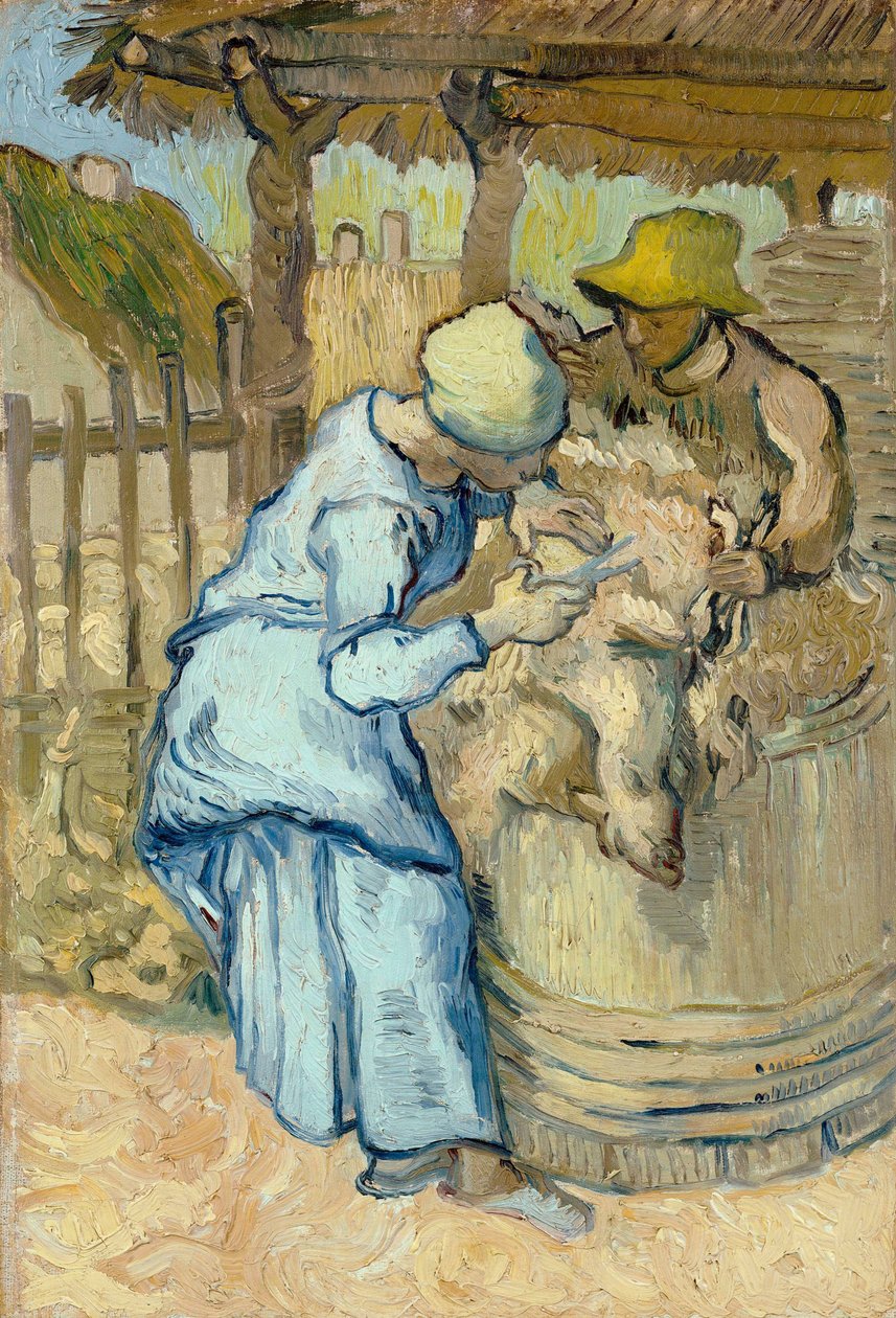 Strzygacze owiec - obraz Vincent van Gogh (1853-1890), wg Jean Francois Millet (1814-1875), olej na płótnie autorstwa Vincent van Gogh