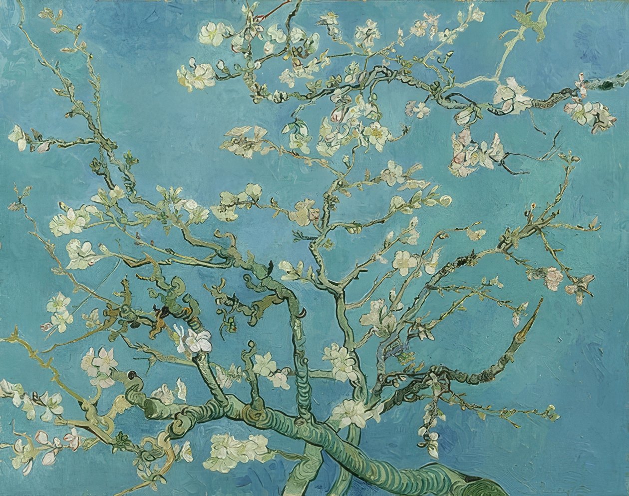 Kwiaty migdałowe. 1890 autorstwa Vincent van Gogh