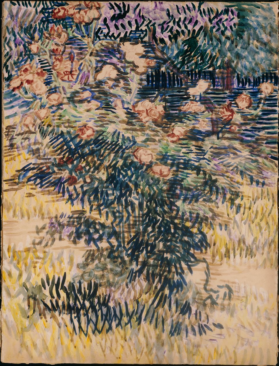 Oleandry, Ogród Szpitalny w Saint-Remy, 1889 autorstwa Vincent van Gogh