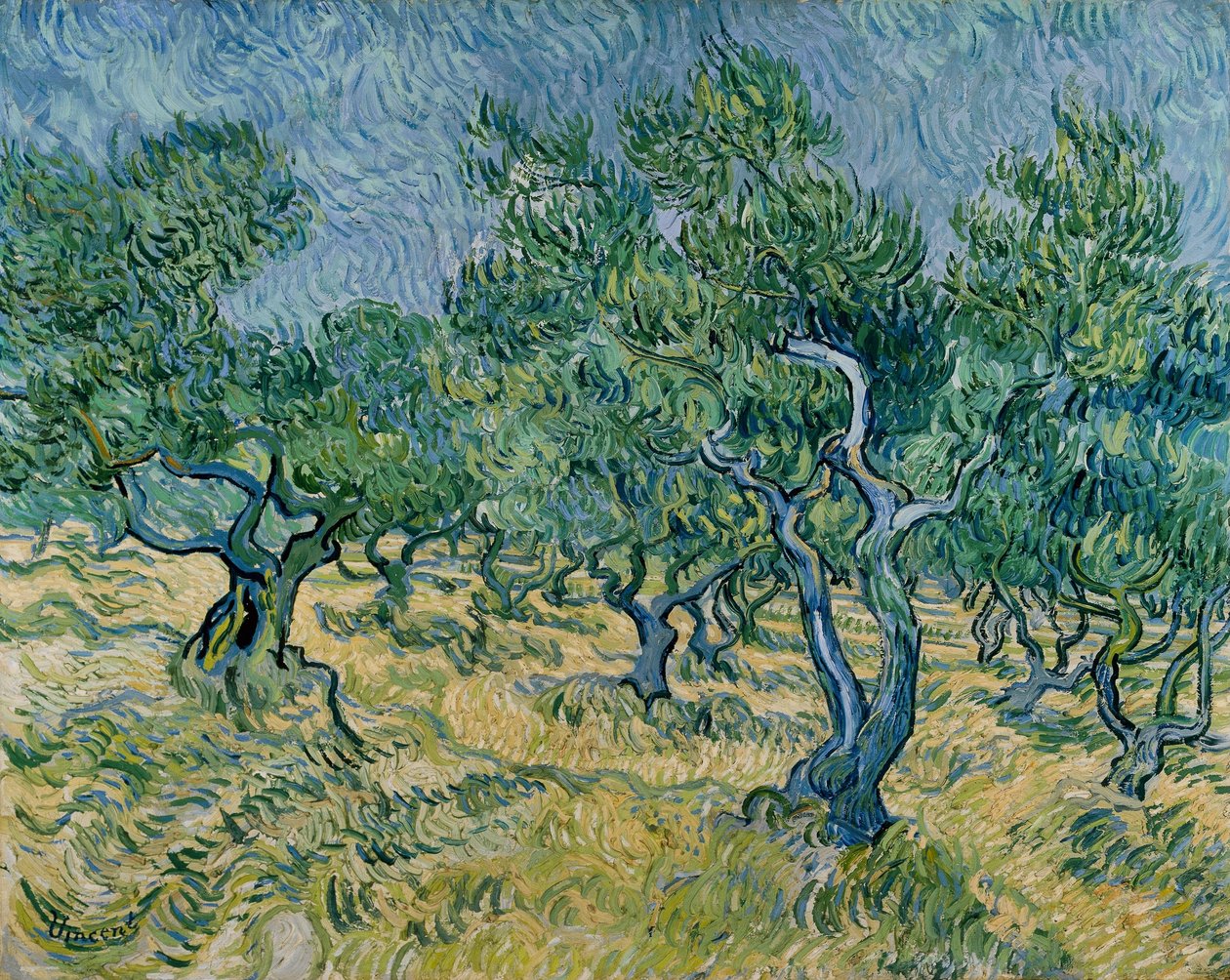 Gaj oliwny autorstwa Vincent van Gogh