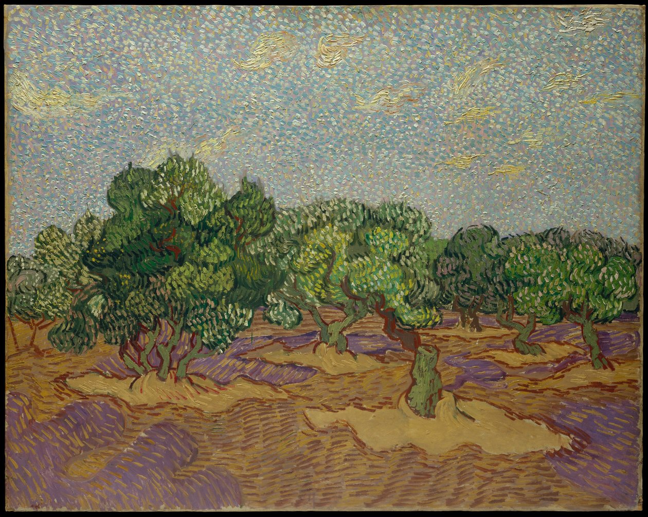 Drzewa oliwne autorstwa Vincent van Gogh