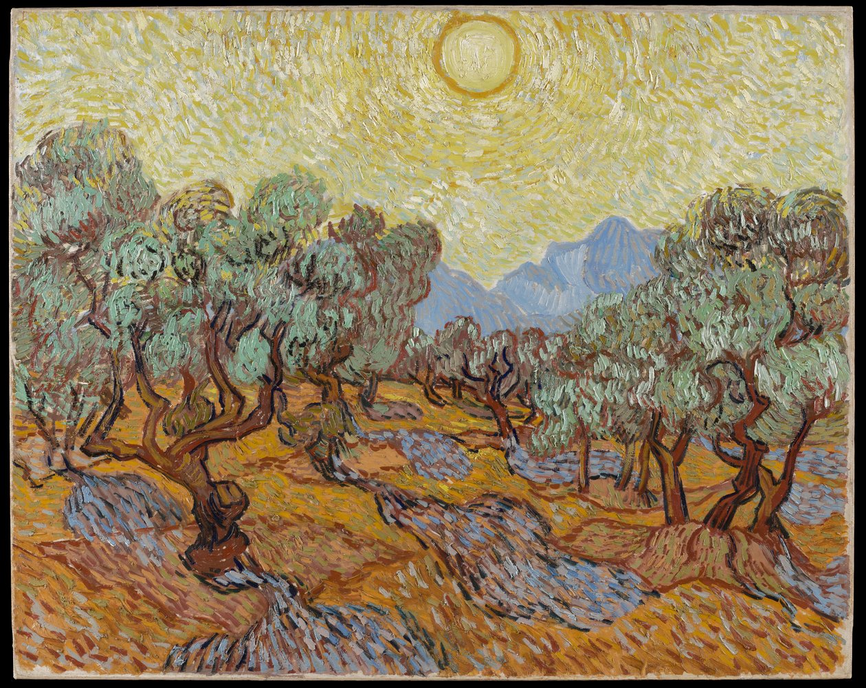 Drzewa oliwne autorstwa Vincent van Gogh