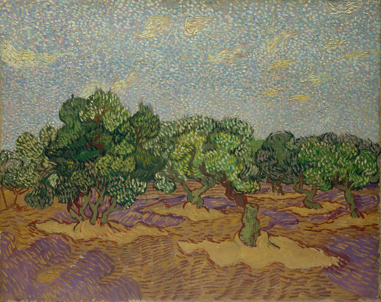 Drzewa oliwne autorstwa Vincent van Gogh