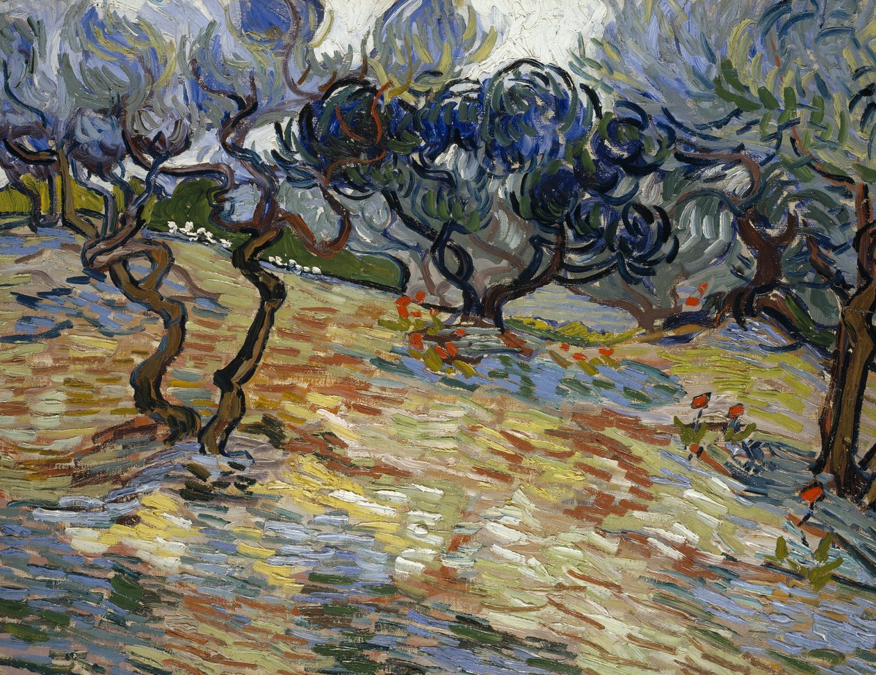 Drzewa oliwne: Jasnoniebieskie niebo autorstwa Vincent van Gogh