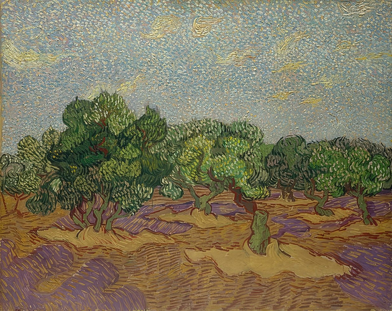 Drzewa oliwne. 1889 autorstwa Vincent van Gogh