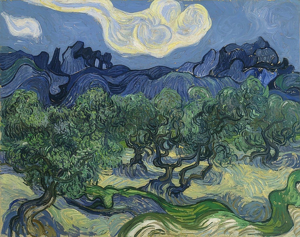 Drzewa oliwne. 1889 autorstwa Vincent van Gogh