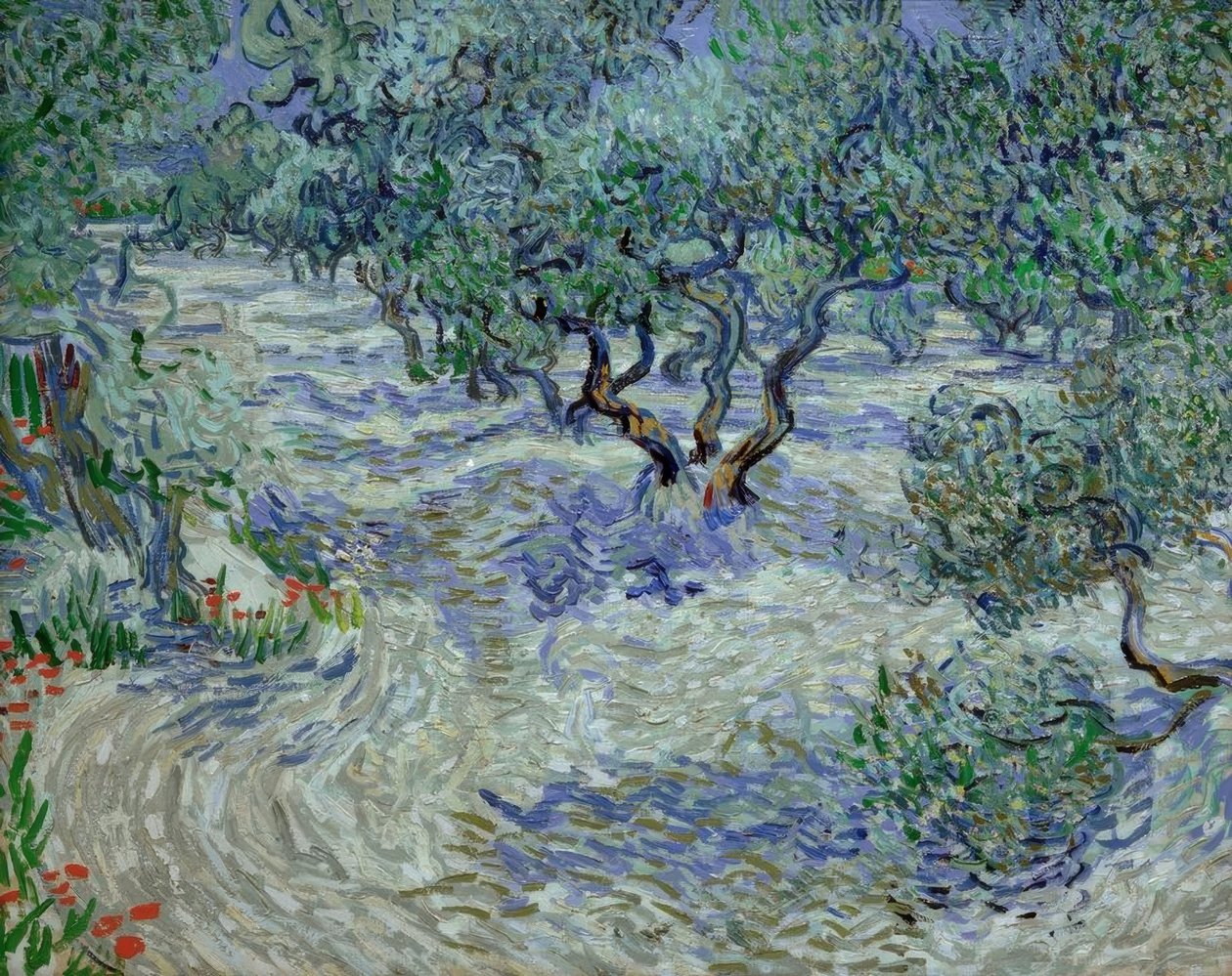 Gaj oliwny autorstwa Vincent van Gogh