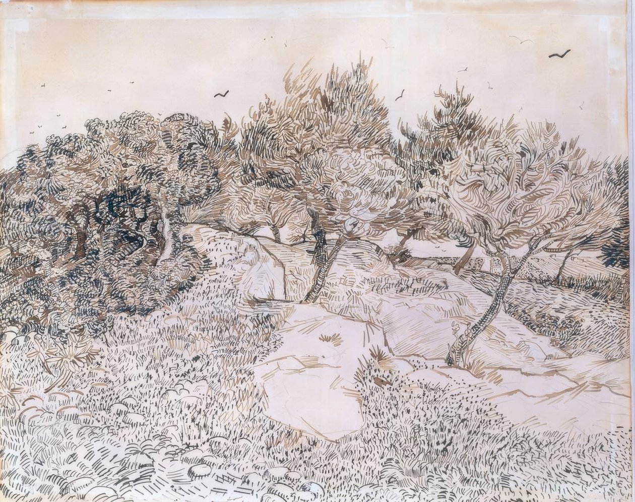 Drzewa oliwne w Montmajour autorstwa Vincent van Gogh